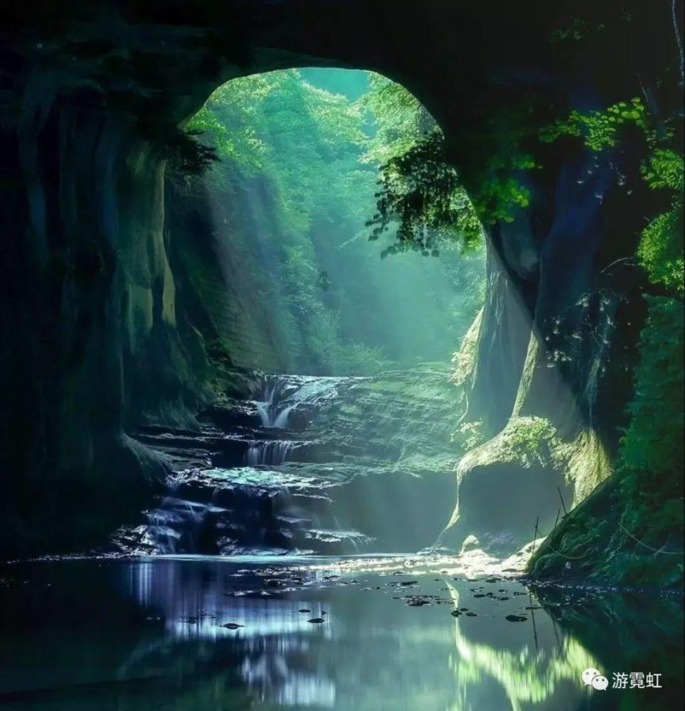 腐烂国度